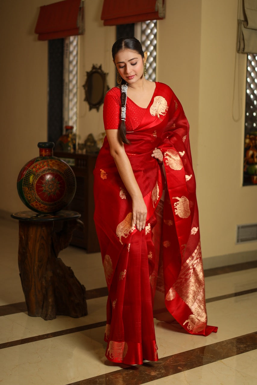 Kora Silk Sarees Collection