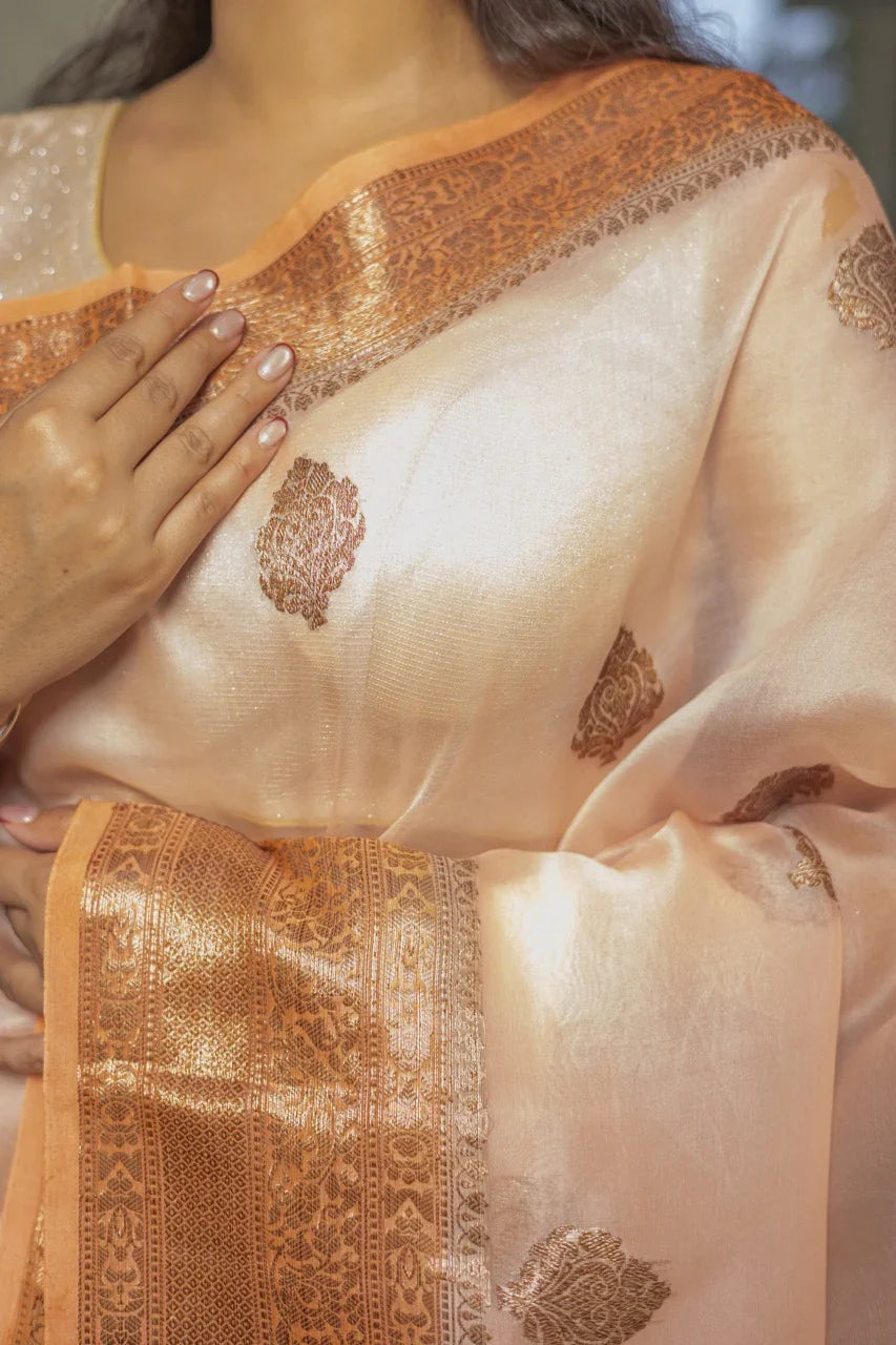Pastel Peach Kora Silk Banarasi Saree with Kadhwa Motifs