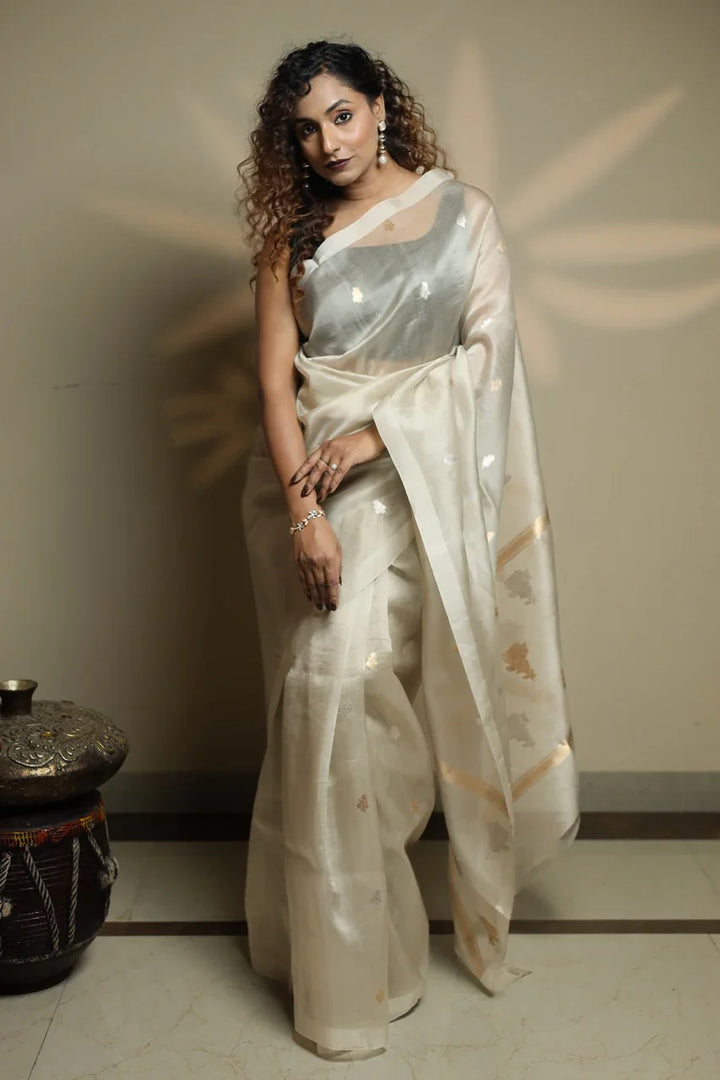 Ash Grey Kora Silk Banarasi Saree with Sona Rupa Butis 