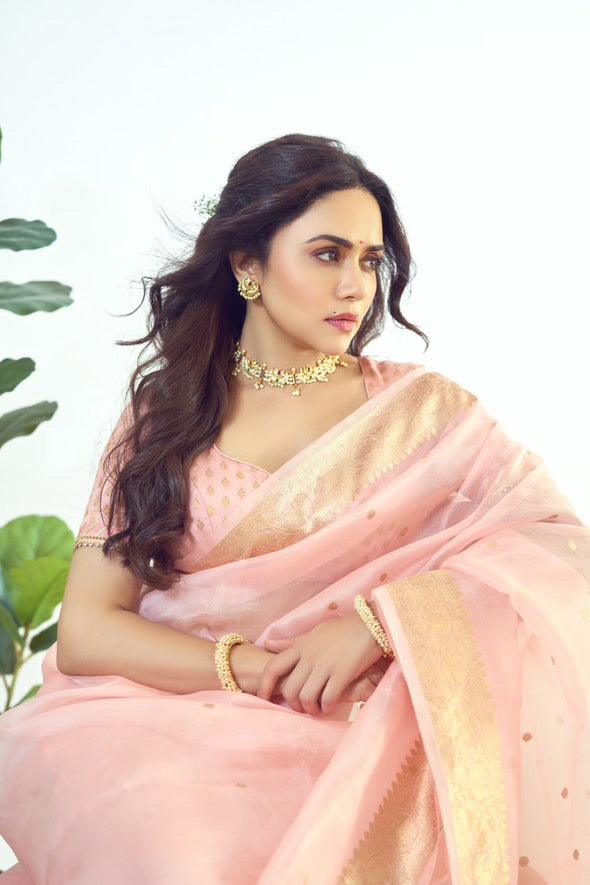 Pastel Peach Banarasi Handloom Kora Silk Saree | Aura Benaras