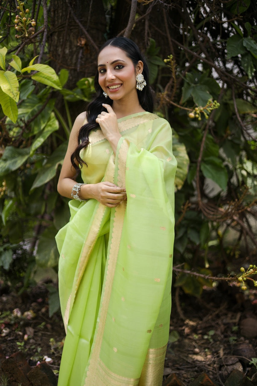 Pista Green Pure Kora Silk Handloom Banarasi Saree