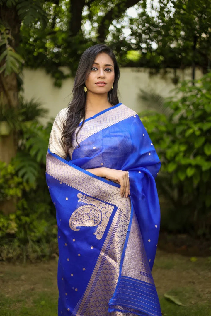 Royal Blue Pure Kora Silk Banarasi Saree | Butis & Konia