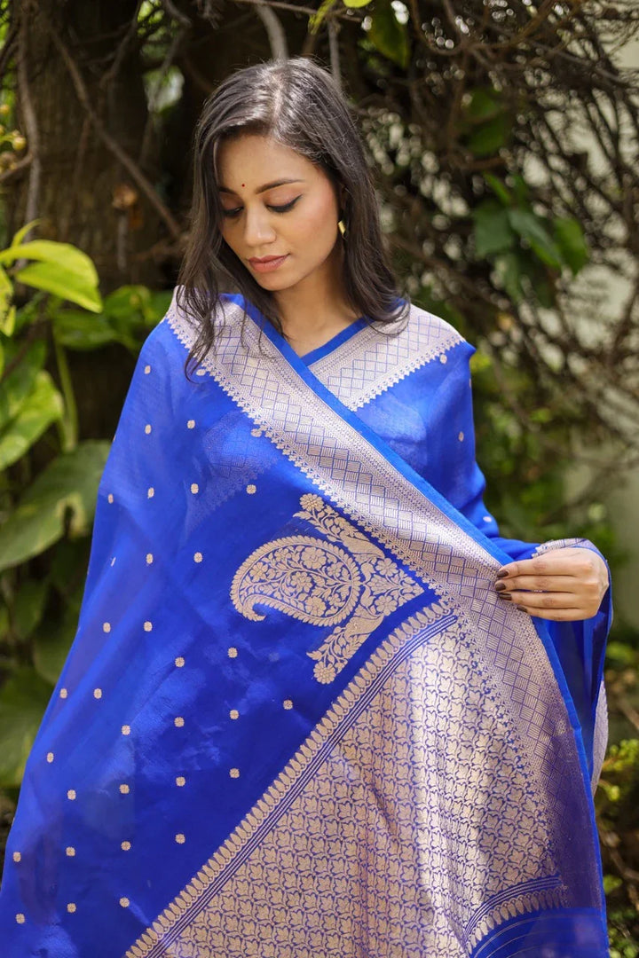 Royal Blue Pure Kora Silk Banarasi Saree | Butis & Konia