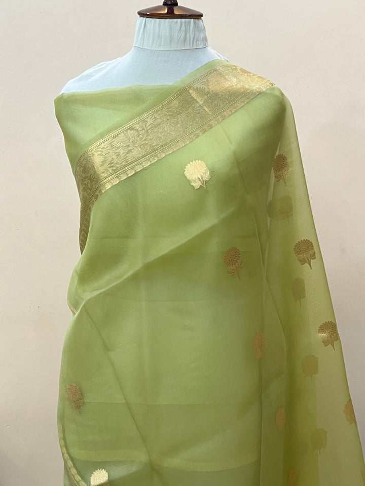Olive Green Pure Kora Silk Handloom Banarasi Saree