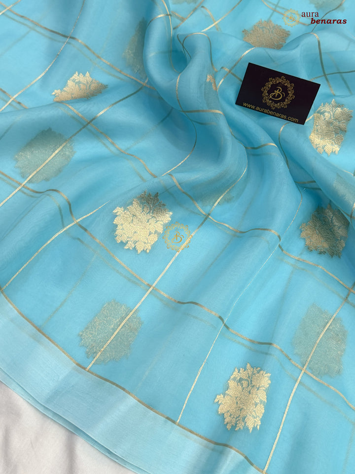 Sky Blue Kora Silk Banarasi Saree with Sona Rupa Butas
