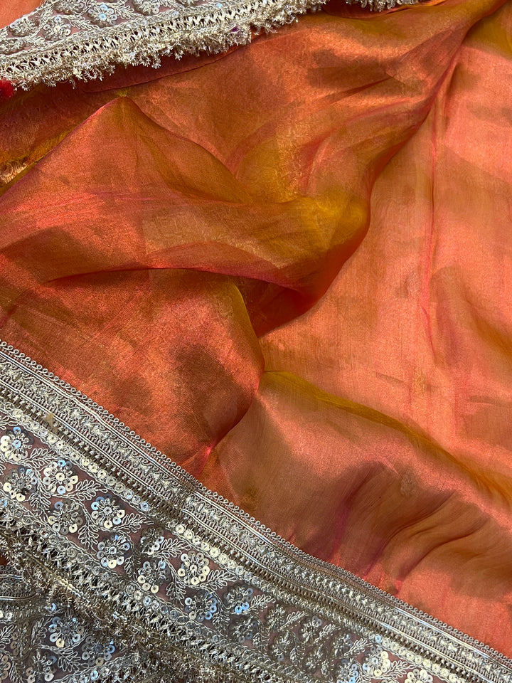 Orange Pure Tissue Silk Handloom Banarasi Saree