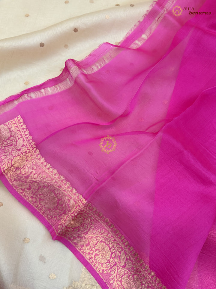 Cream Pure Kora Silk Banarasi Saree with Konia