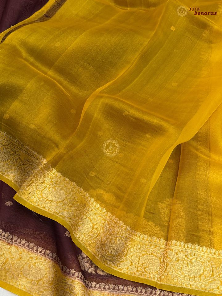 Chocolate Brown Pure Kora Silk Banarasi Saree with Konia