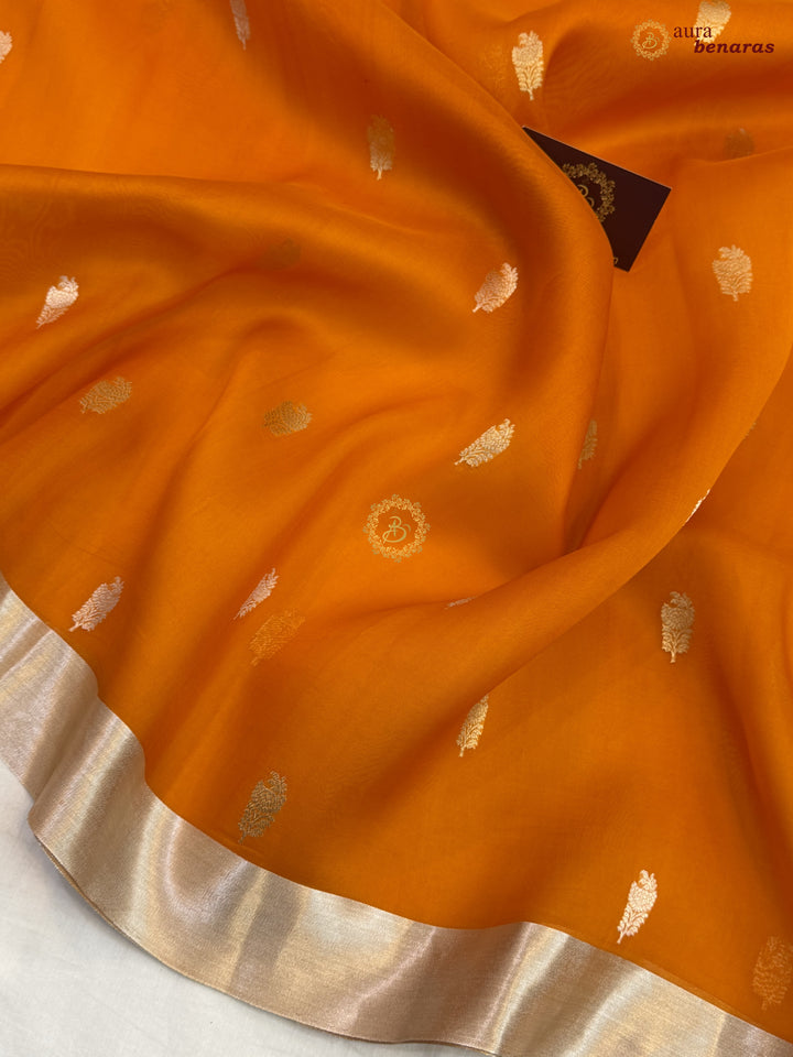 Fanta Orange Pure Silk Banarasi Saree with Kadhwa Floral Motifs 