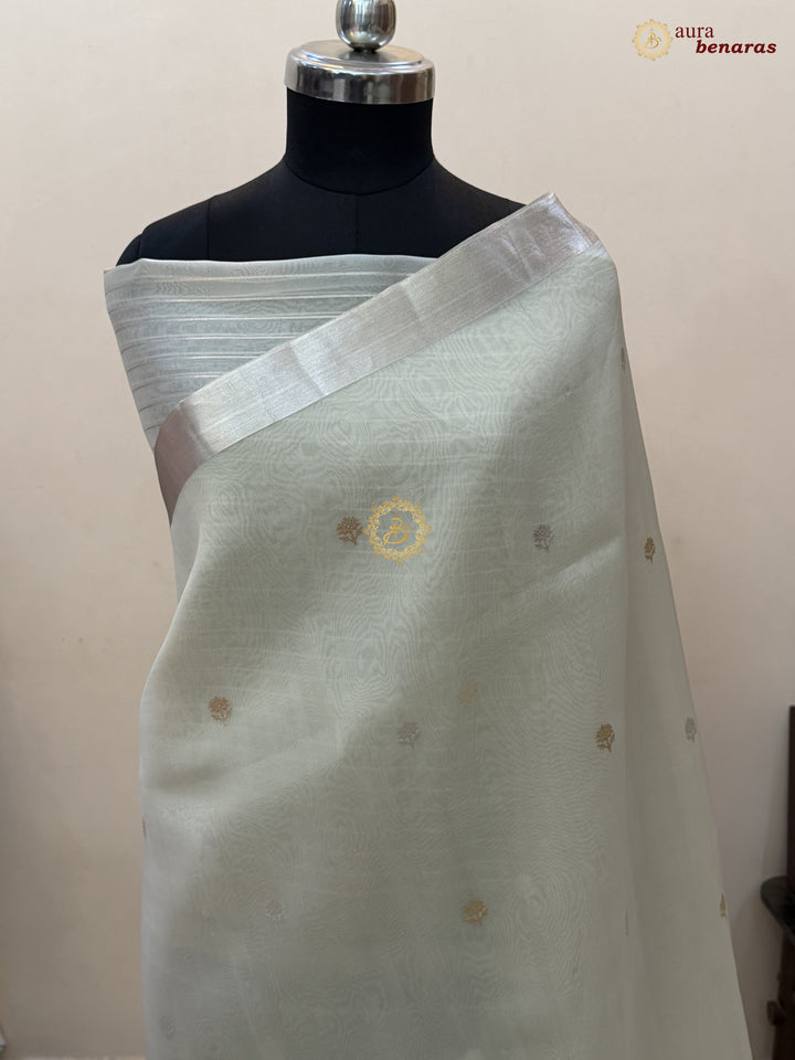 Off White Pure Silk Banarasi Saree with Kadhwa Floral Motifs 