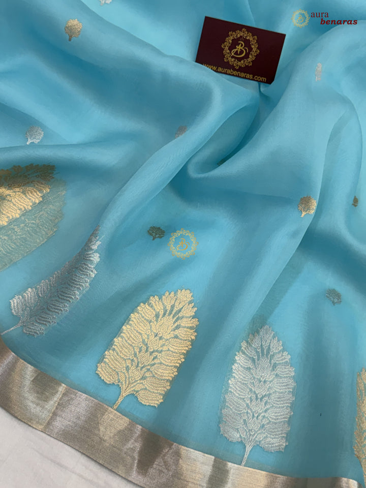 Sky Blue Pure Silk Banarasi Saree with Kadhwa Floral Motifs 