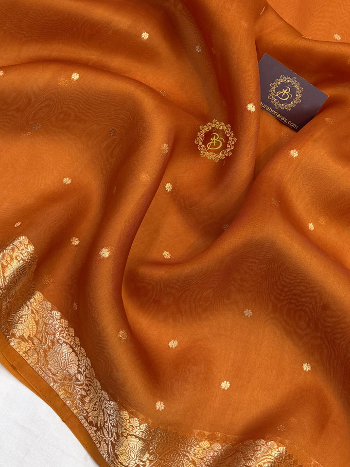 Earthy Orange Pure Handloom Banarasi Saree with Kadhwa Golden Zari Motifs