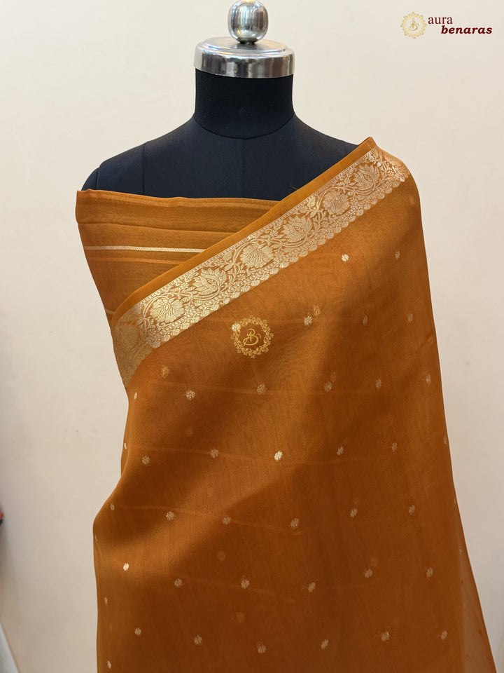 Earthy Orange Pure Handloom Banarasi Saree with Kadhwa Golden Zari Motifs