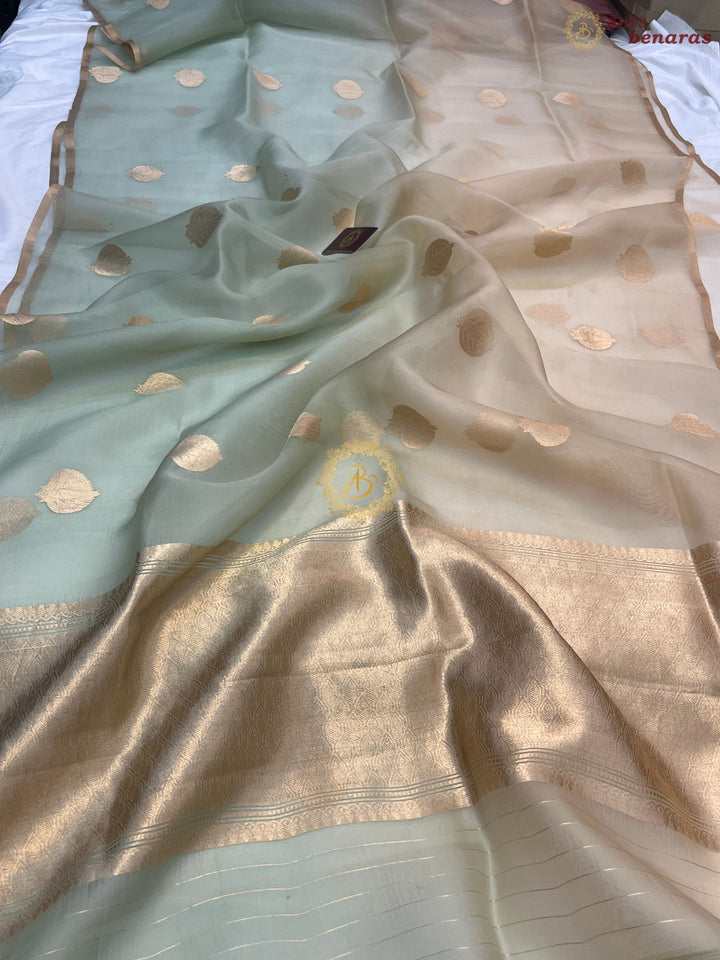 Pastel Mint Green and cream Shaded Pure Kora Silk Handloom Banarasi Saree
