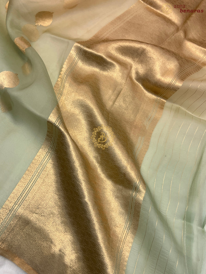 Pastel Mint Green and cream Shaded Pure Kora Silk Handloom Banarasi Saree
