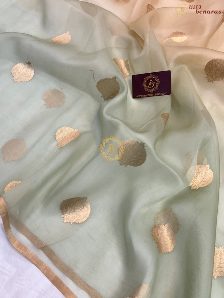 Pastel Mint Green and cream Shaded Pure Kora Silk Handloom Banarasi Saree