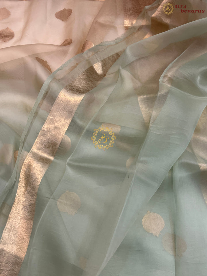 Pastel Mint Green and cream Shaded Pure Kora Silk Handloom Banarasi Saree