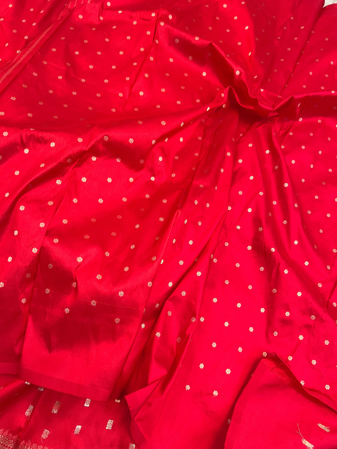 Red Pure Katan Silk Banarasi Saree with Fekhwa Floral Motifs