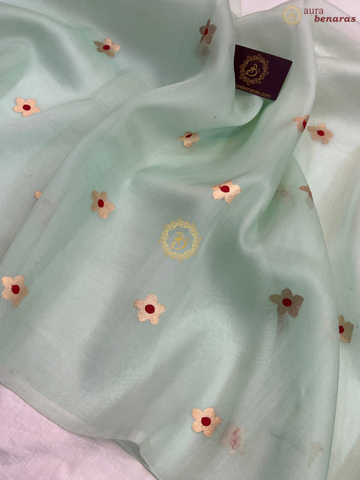 Off White and Mint Green  Shaded Pure Kora Silk Handloom Banarasi Saree