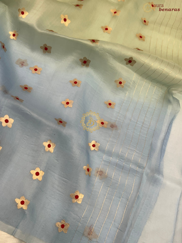 Pastel Green and Blue Shaded Pure Kora Silk Handloom Banarasi Saree