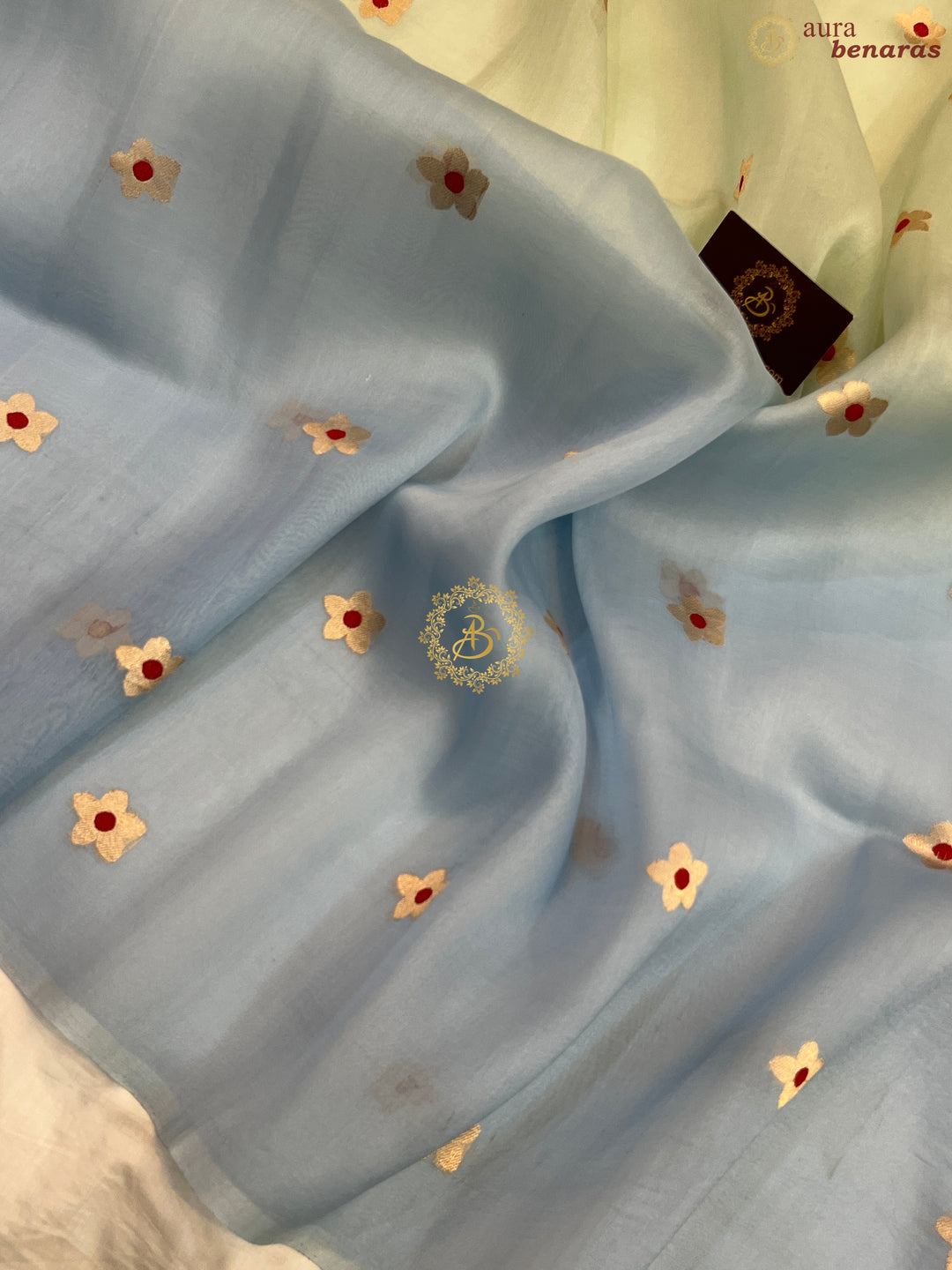 Pastel Green and Blue Shaded Pure Kora Silk Handloom Banarasi Saree