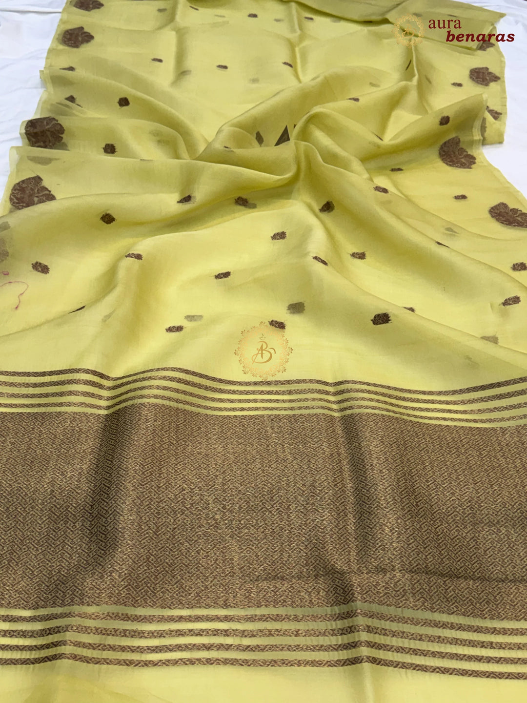 Light Pista Green Kora Silk Banarasi Saree with Antique Zari Elephant Border