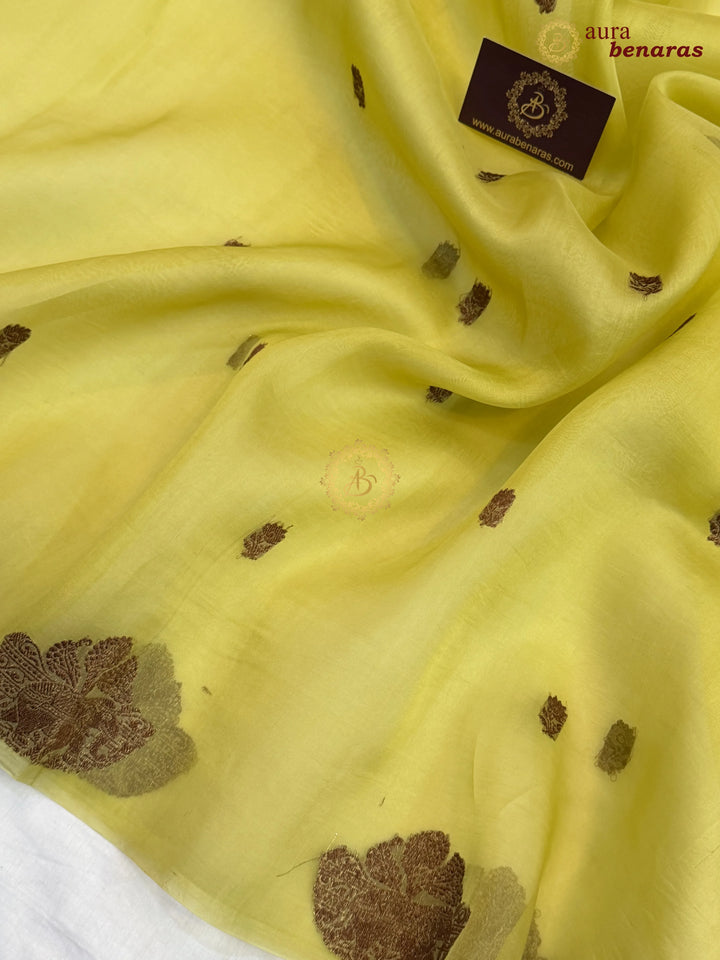 Light Pista Green Pure Kora Silk Handloom Banarasi Saree