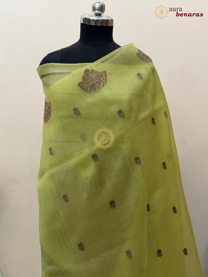 Light Pista Green Kora Silk Banarasi Saree with Antique Zari Elephant Border