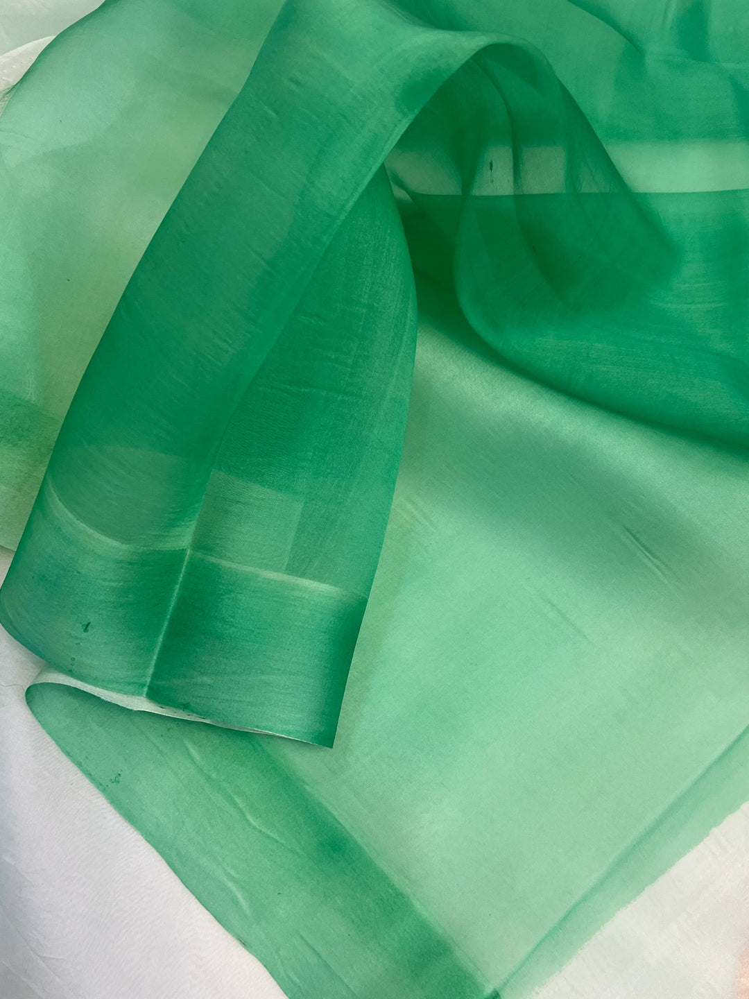 Pastel Mint Green Pure Kora Silk Handloom Banarasi Saree