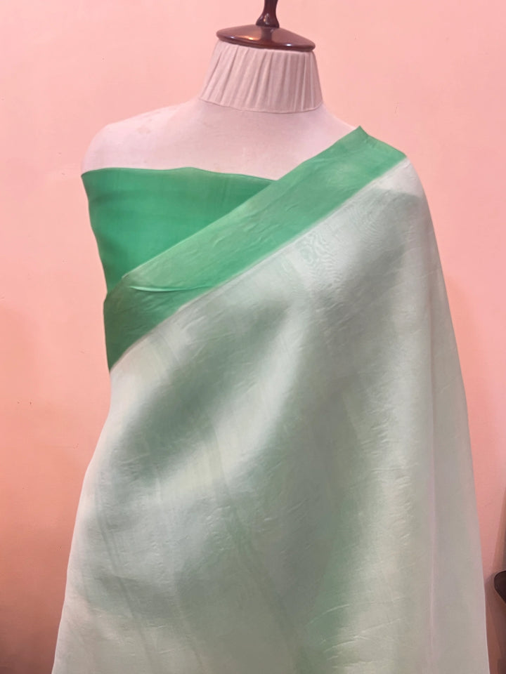 Pastel Mint Green Pure Kora Silk Handloom Banarasi Saree