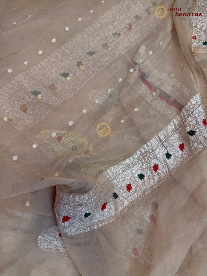 Cream Chiffon Tissue Silk Banarasi Saree with Sona Rupa