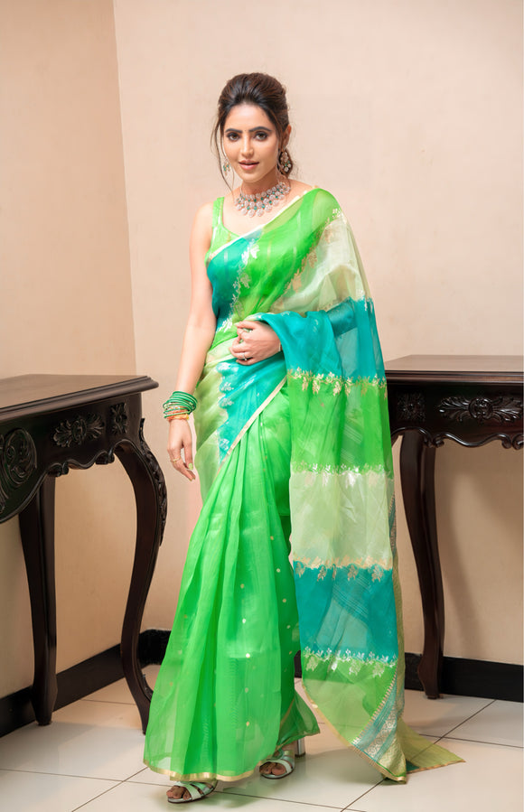 Pista Green Rangkaat Banarasi Handloom Kora Silk Saree - Aura Benaras