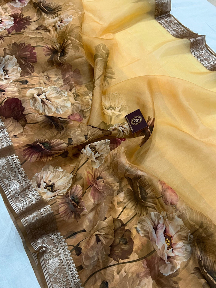 Cream-Beige Banarasi Handloom Kora Silk Saree - Aura Benaras