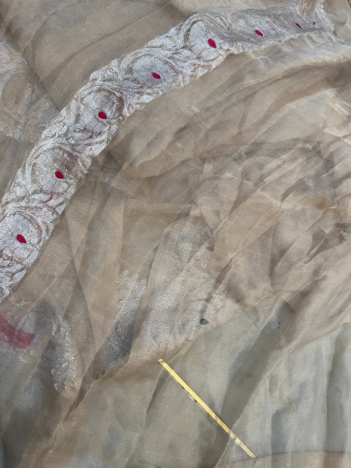 Beige Chiffon Tissue Silk Banarasi Saree with Sona Rupa