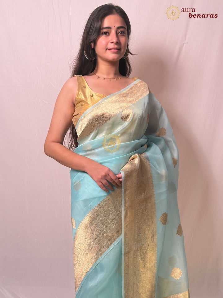 Sky Blue Banarasi Kora Organza Sari with Gold Zari Work