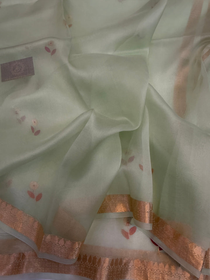 Pastel Green Kora Silk Banarasi Saree with Kadhwa Zari 