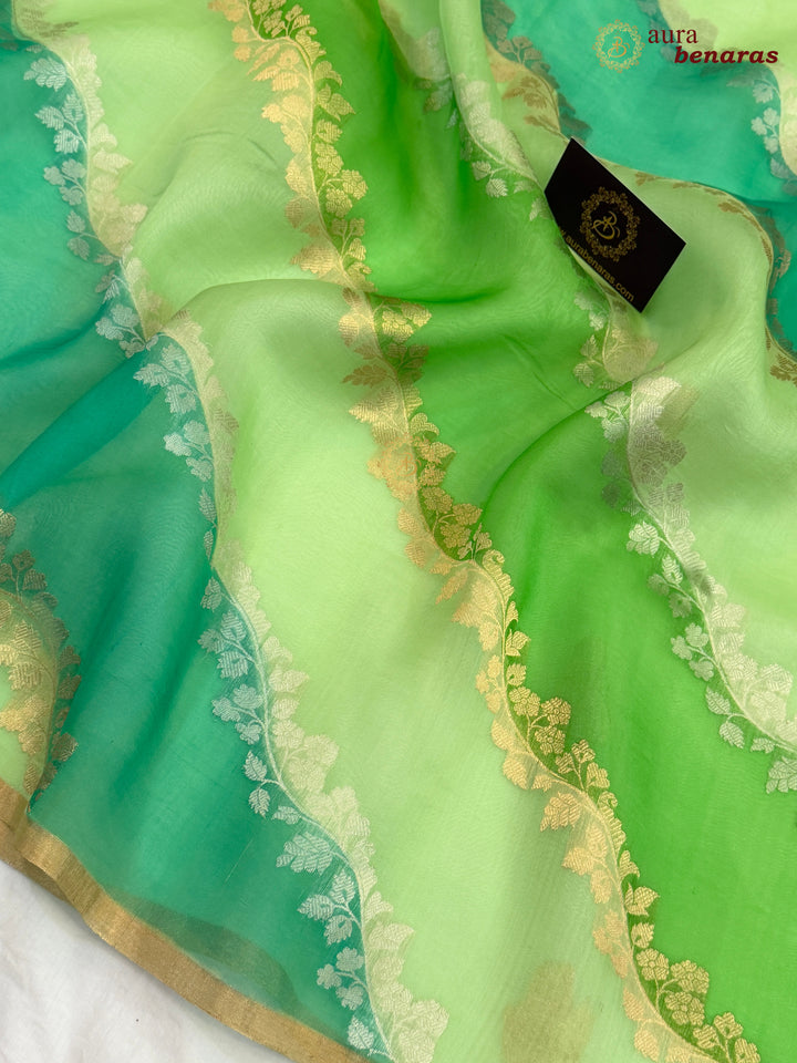 Green Rangkaat Banarasi Handloom Kora Silk Saree 