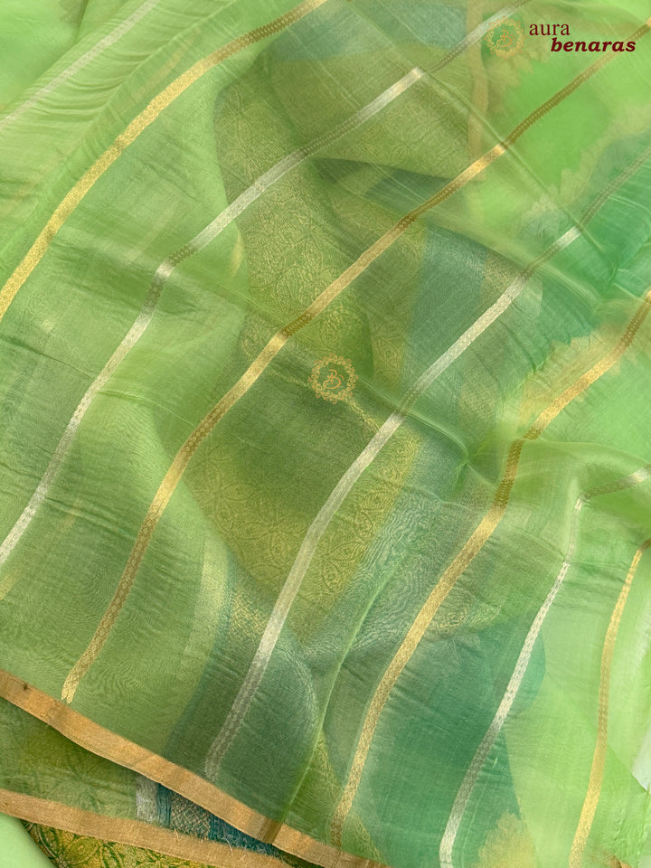 Green Rangkaat Banarasi Handloom Kora Silk Saree 