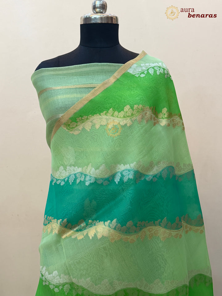 Green Rangkaat Banarasi Handloom Kora Silk Saree 