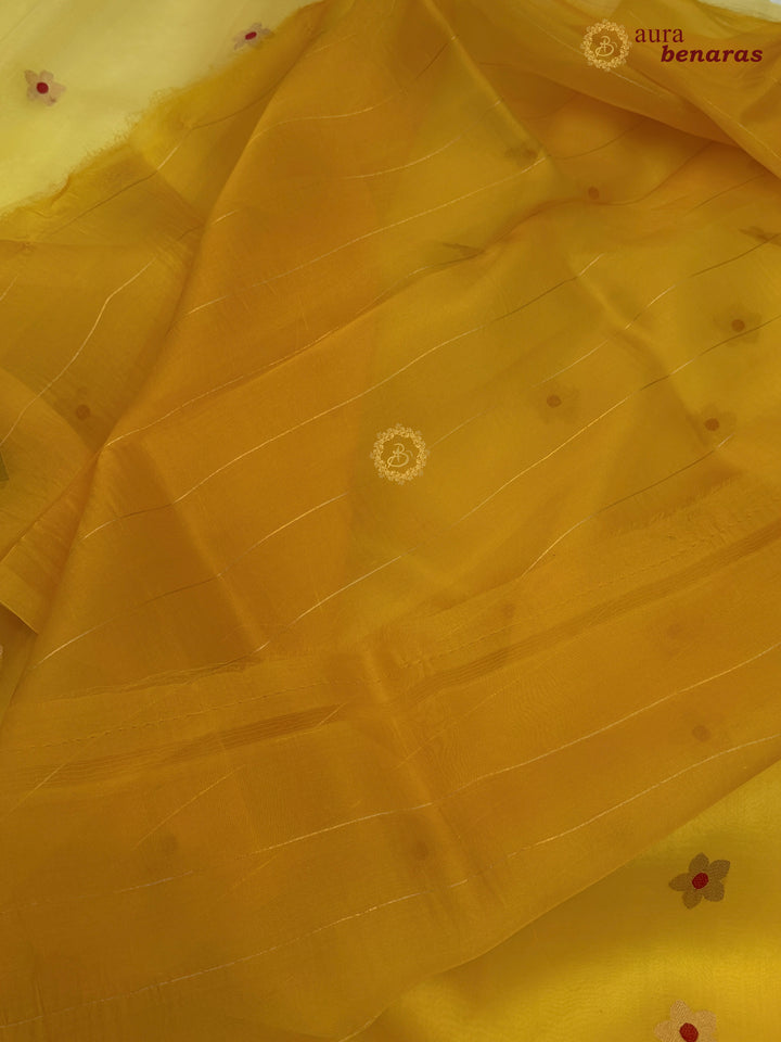 Yellow Pure Kora Silk Banarasi Saree with Kadhwa Zari Butas