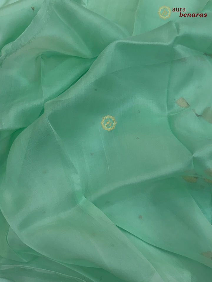 Pastel Sea Green Kora Silk Banarasi Saree Kadhwa Butis 