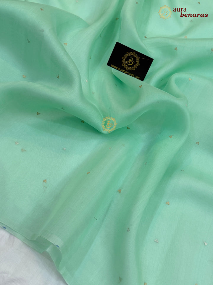 Pastel Sea Green Kora Silk Banarasi Saree Kadhwa Butis 