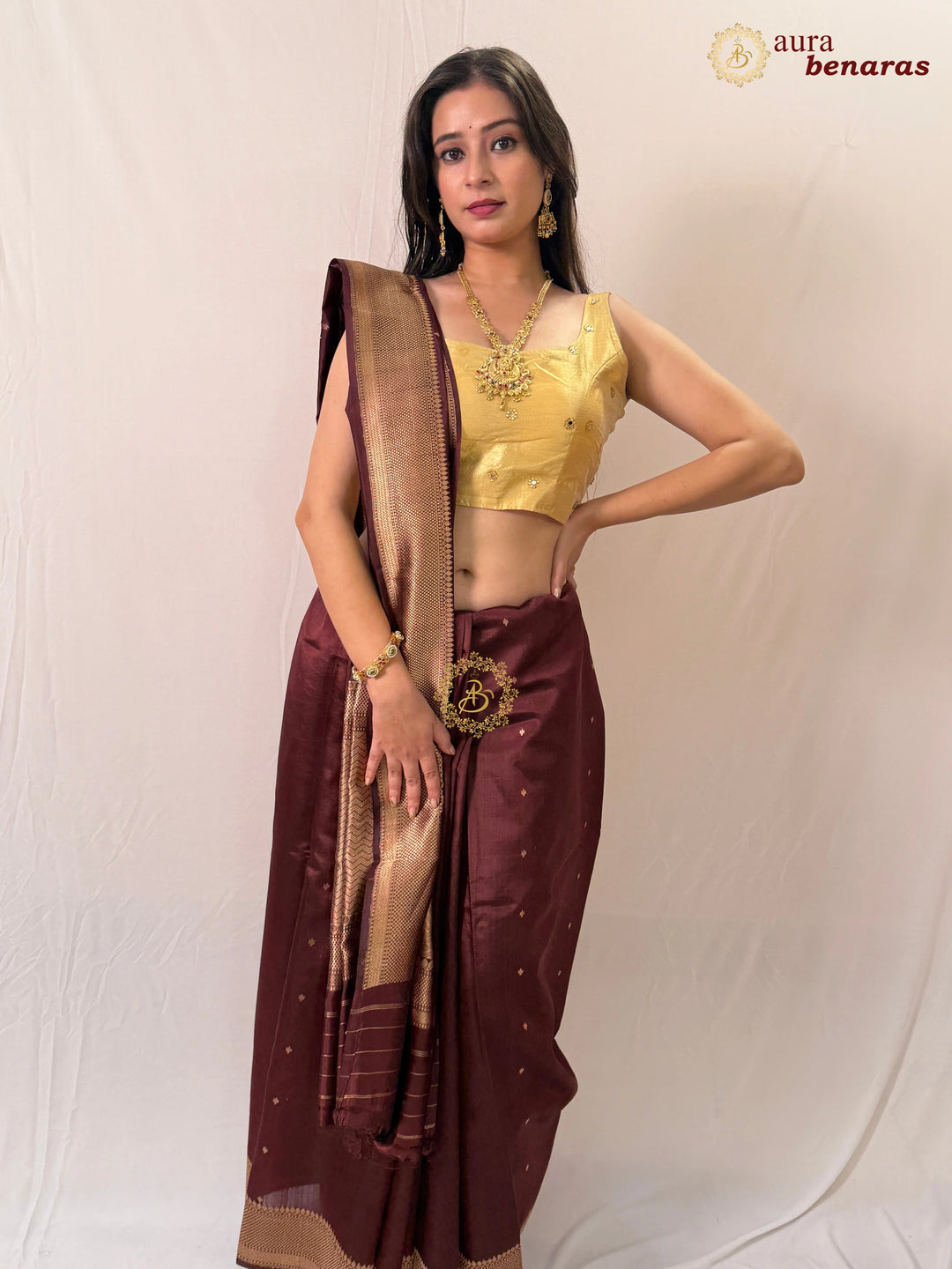 Coffee Brown Pure Silk Handloom Banarasi Saree with Golden Zari