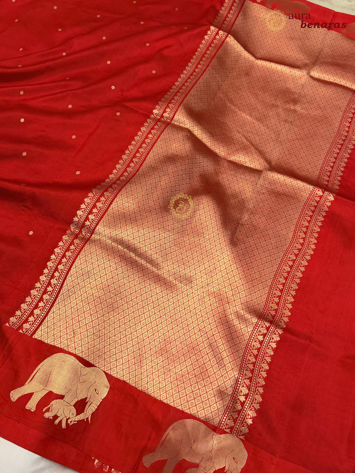 Red Pure Katan Silk Banarasi Saree Kadhwa Elephant Motifs