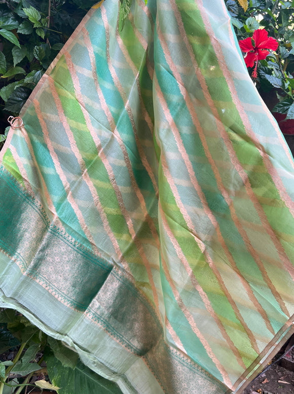 Pista Green Rangkaat Pure Banarasi Kora Silk Dupatta - Aura Benaras