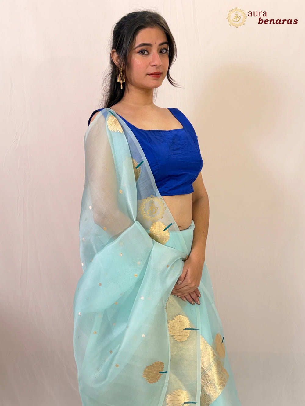 Sky Blue Pure Kora Silk Handloom Banarasi Saree 