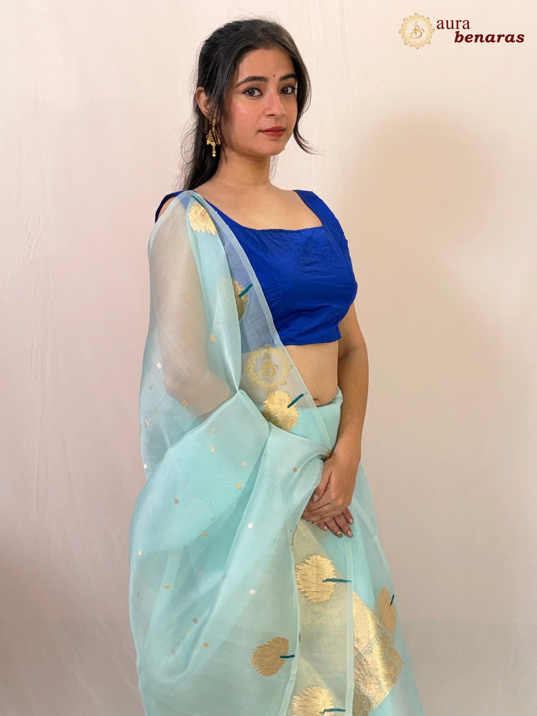 Sky Blue Pure Kora Silk Handloom Banarasi Saree 