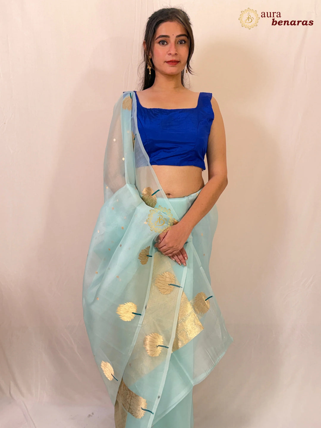 Sky Blue Pure Kora Silk Handloom Banarasi Saree 
