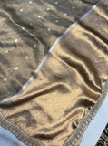 Dark Grey Banarasi Handloom Organza Tissue Silk Saree - Aura Benaras