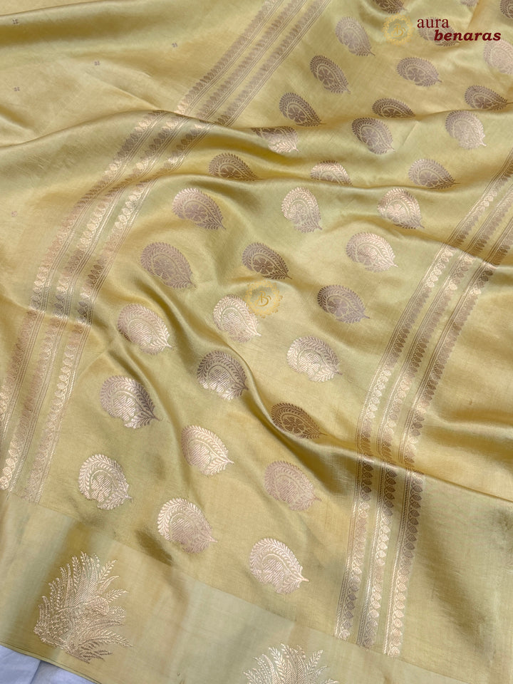 Cream Pure Katan Silk Banarasi Saree Kadhwa Leopard Motifs